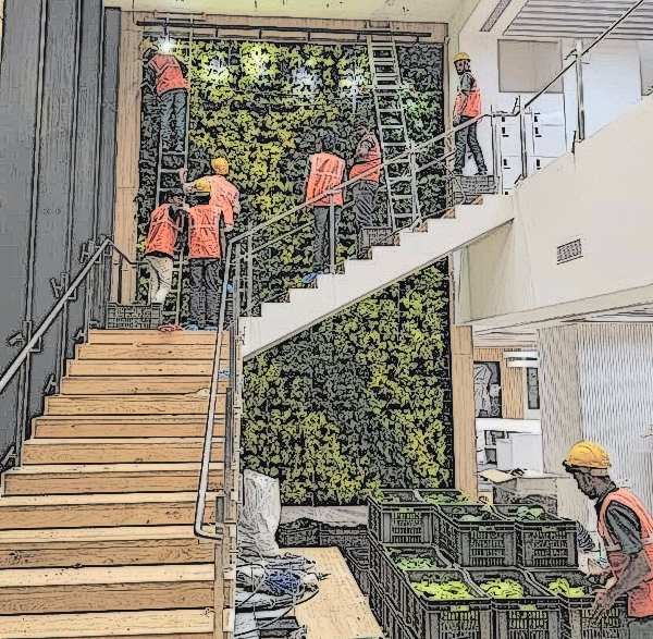 Planning a Vertical Garden: What to Decide Before You Start
